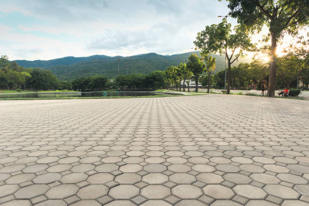 Professional Driveway Pavers in Lovington, NM