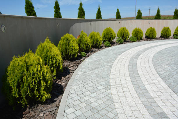 Best Cobblestone Driveway Pavers  in Lovington, NM