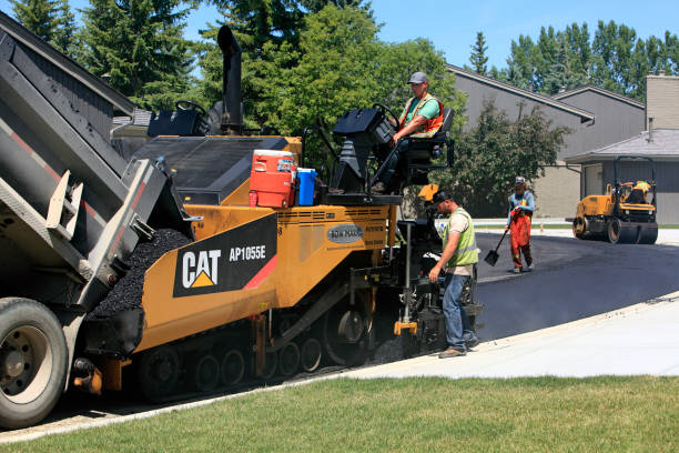 Best Residential Driveway Paver Services  in Lovington, NM
